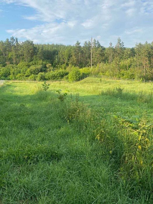 Продаж земельної ділянки Івачів