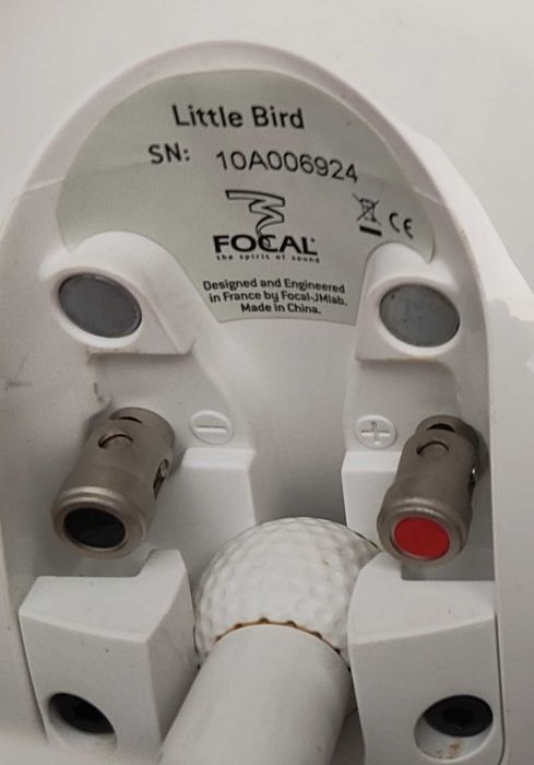 2 Focal little bird ( Vendo/Troco)
