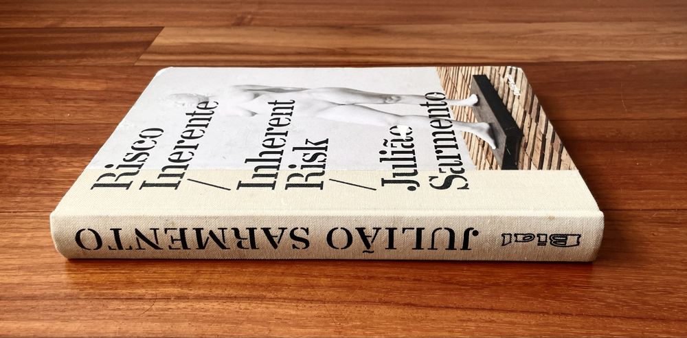 Delfim Sardo - Julião Sarmento: Risco Inerente/Inherent Risk