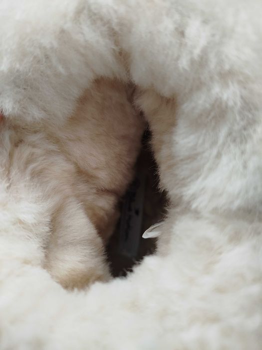 Жіночі уги (ботинки)