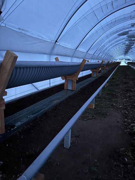 Rynny do truskawek, warzyw