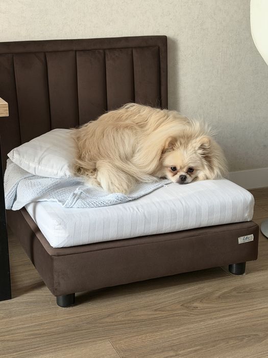 Кровать для собаки