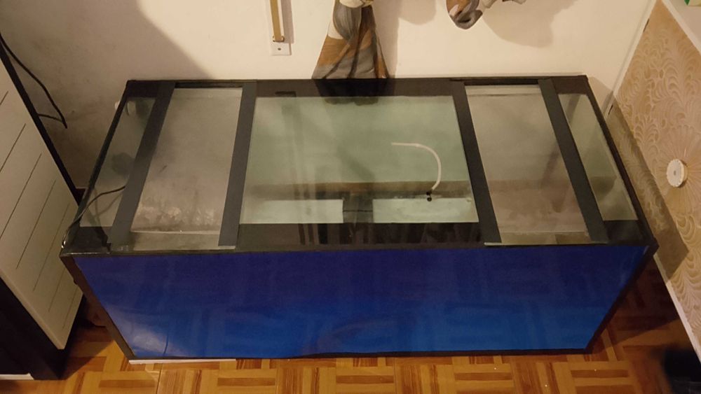 Aquário ponte de Sor João calado