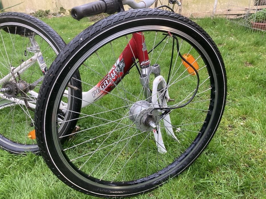 Rower miejski Pegasus