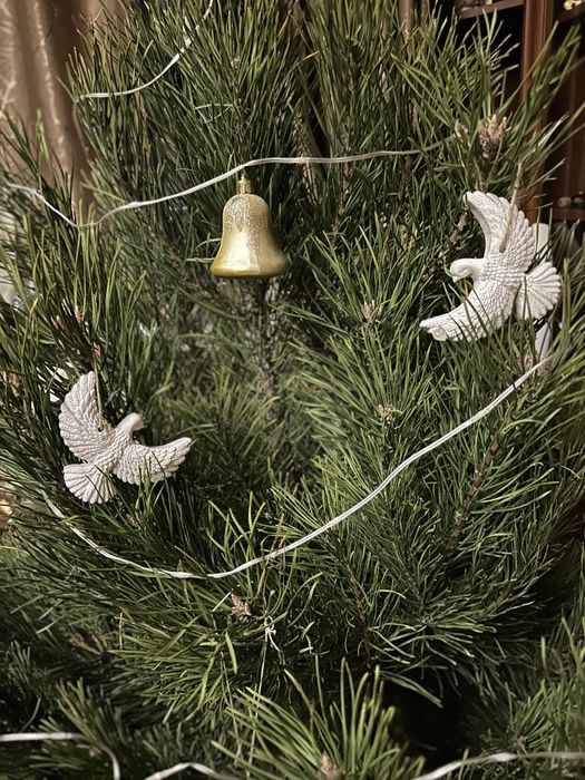 Горлиці із «Сам удома»