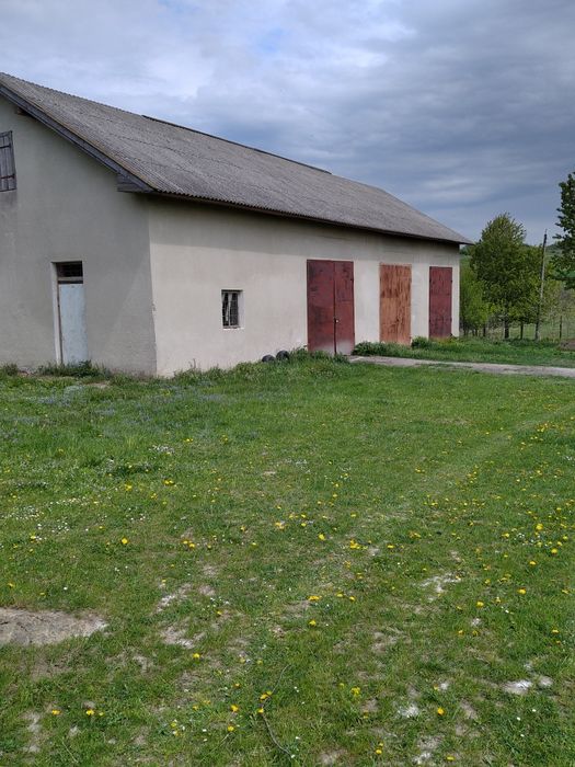 Комерційне приміщення