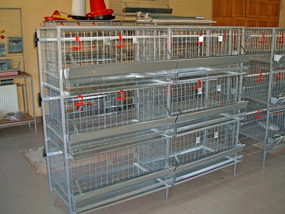 Клітка для курей