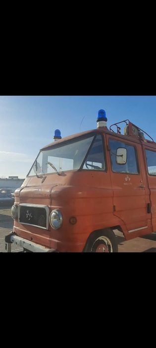 Piękny Żuk (smutek) Super Okaz.