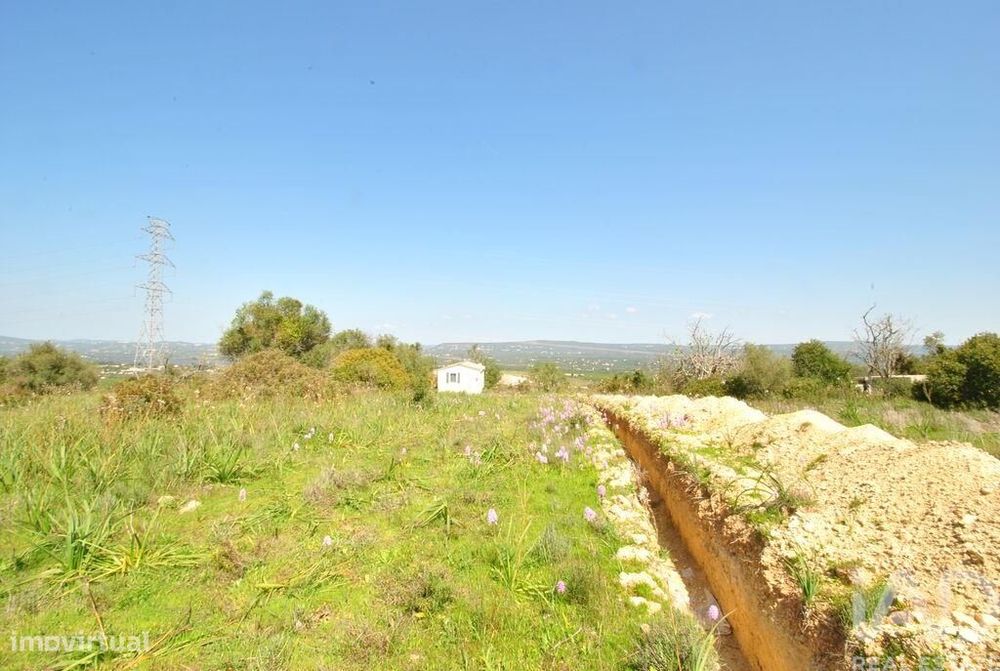 Terreno Agrícola em Paderne