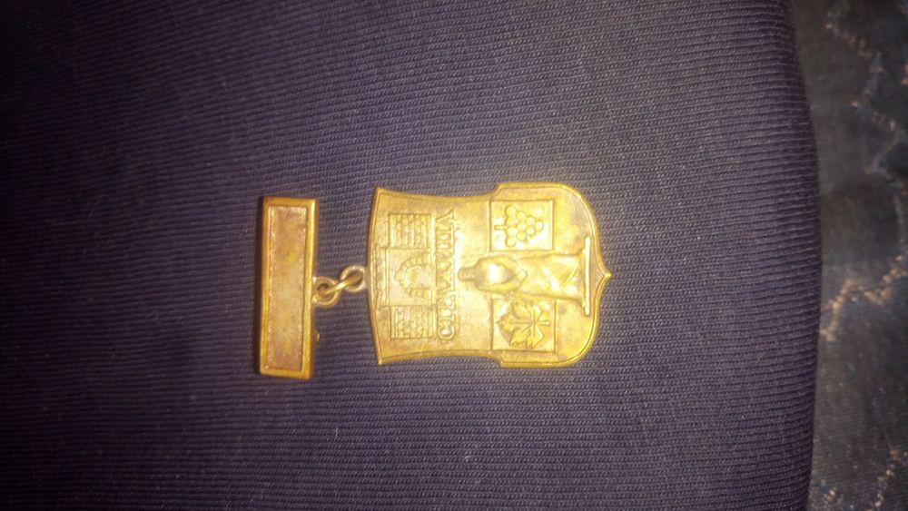 Нагрудний ЗНАК  #Стражница #