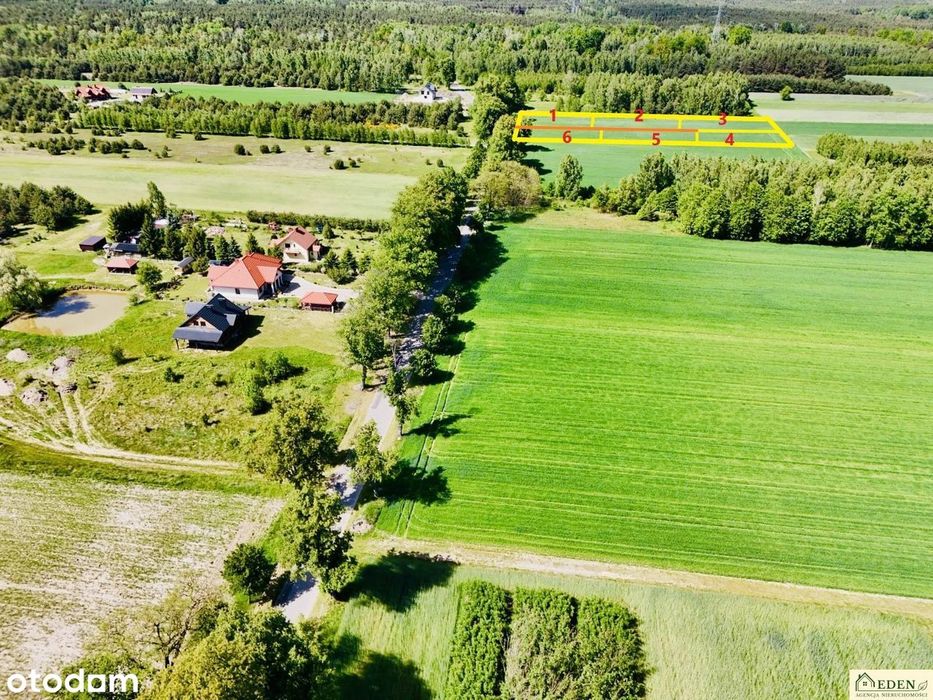 6 działek wydane WZ w Chlewiskach, gm. Kotuń - Widok 4