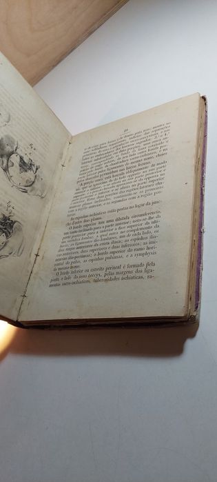 Tratado de Partos ou Quadro Elementar Obstetrico - D. Justa Mathilde de Carvalho e Costa (1874)