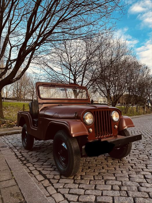 Jeep willys CJ5 troco por terreno