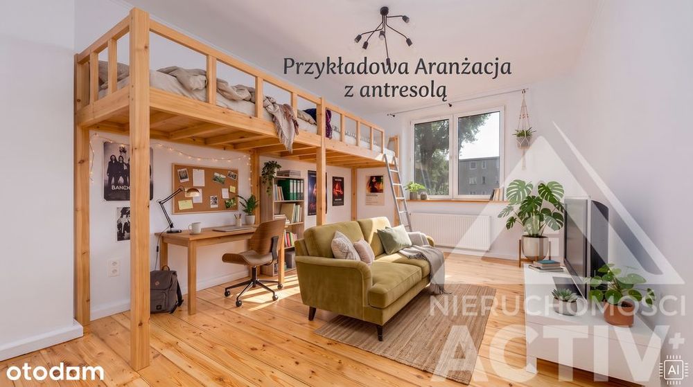 Zdjęcie 4