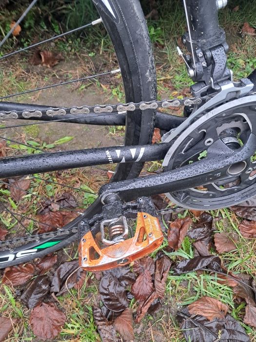 Rower White, hybryda.