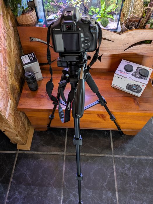 Kit Canon 2000d + tripé