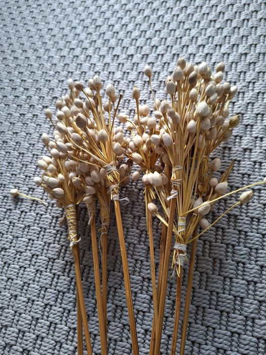 Flores secas/artificiais