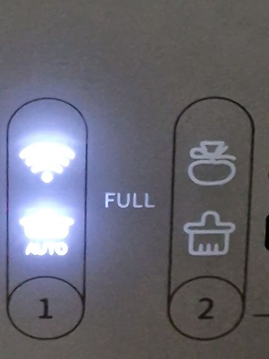 WC  Gato  Automatica