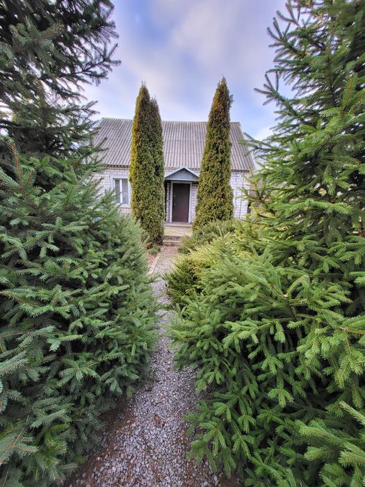 Продам дом с большим земельным участком. Y.A.