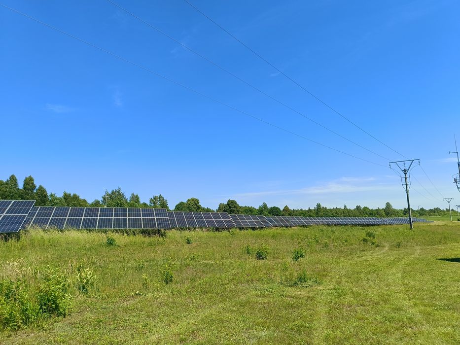 Wycinka drzew ,Koszenie trawy, zakładanie ogrodów, wywóz Wb garden