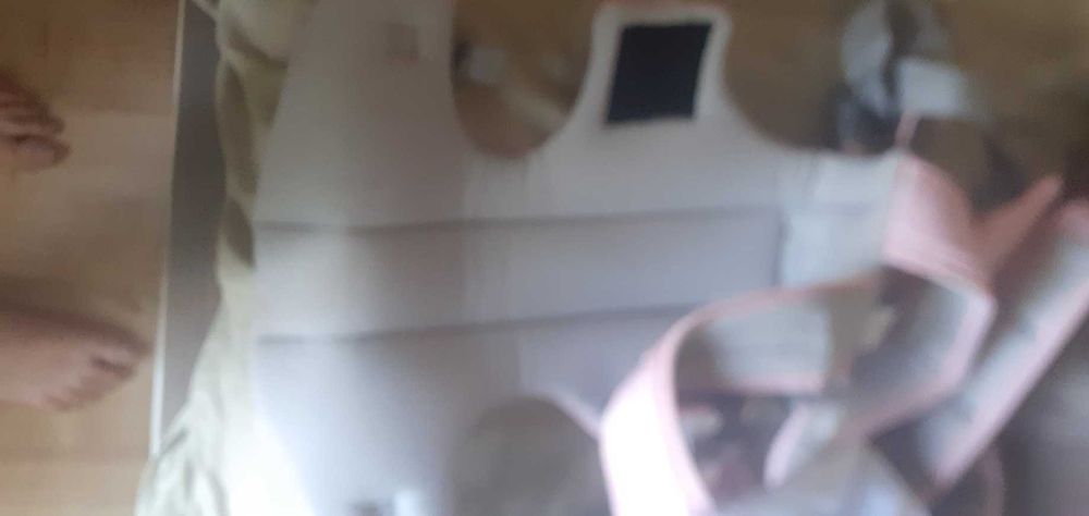 Marsupio zippy rosa/ chicco azul