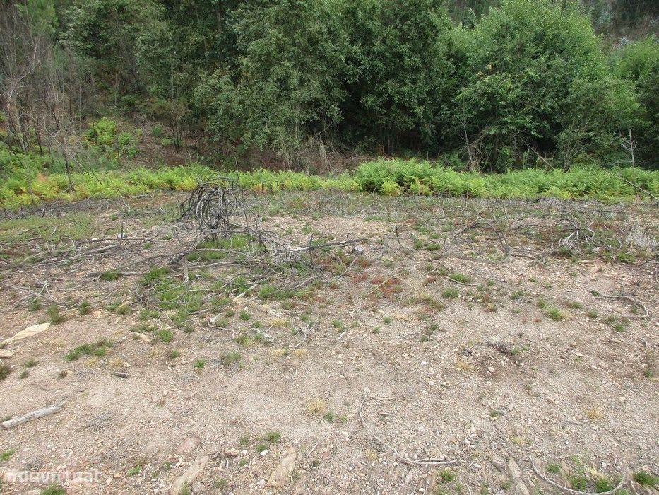 Terreno para construção em Fornelos