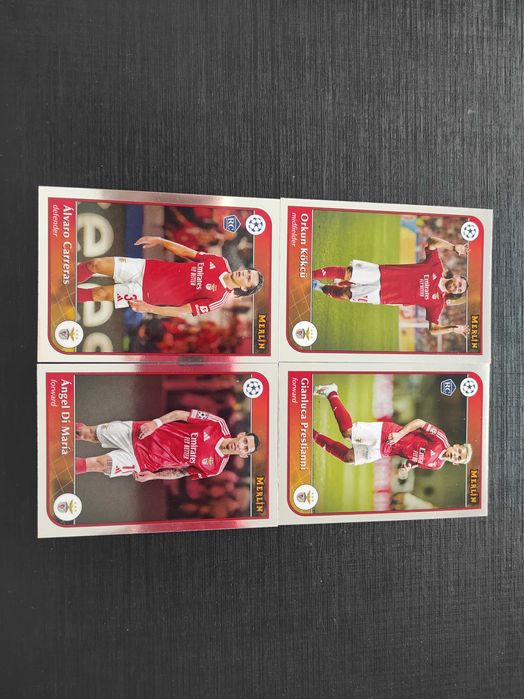 Conjunto de cards SLB, SCP e FCP