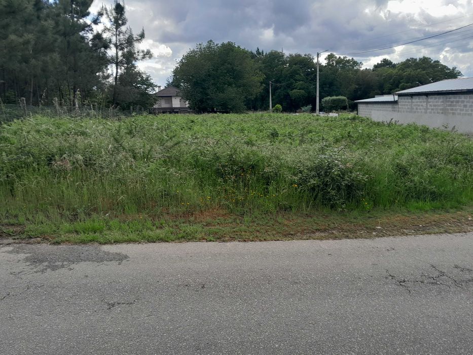 Terreno Construtivo em Zona de excelência