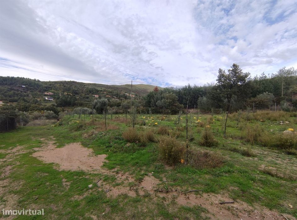 Quinta  Venda em Vela,Guarda