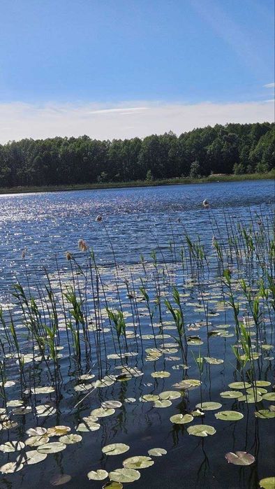 Земельна ділянка біля озера — 8,9 соток
