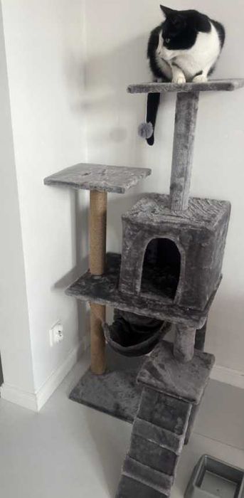 Drapak budka dla kota duży wysoki legowisko  drabinka słupek