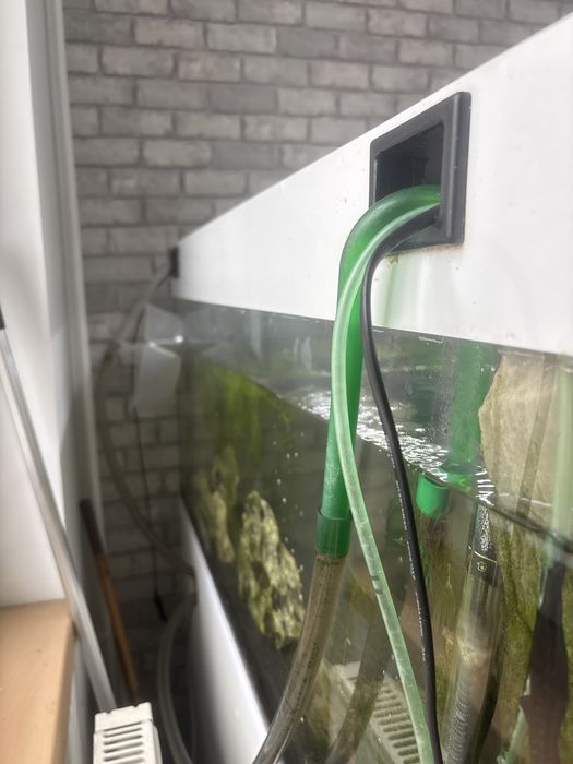 Akwarium duze 160 l z glonojadami