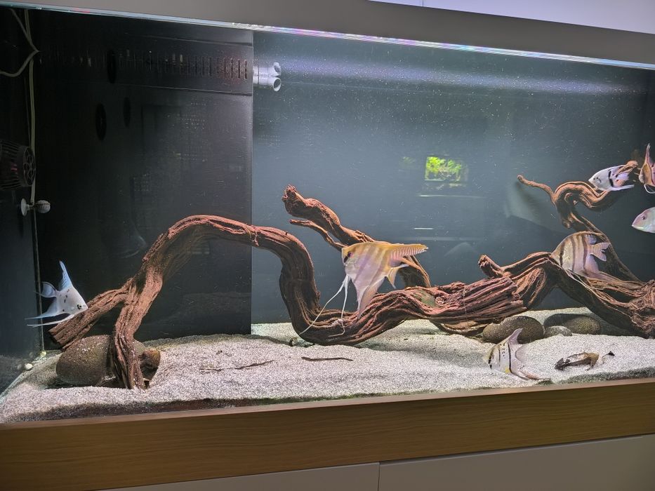 Aquário completo com Móvel