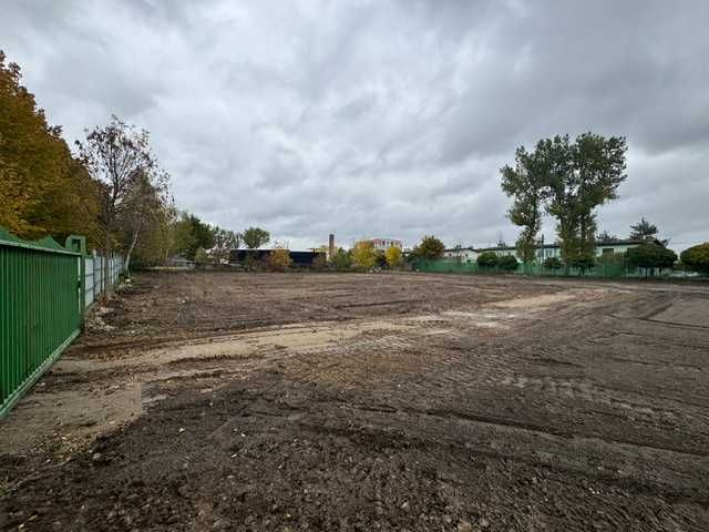 Wynajmę działkę usługową w Bełchatowie