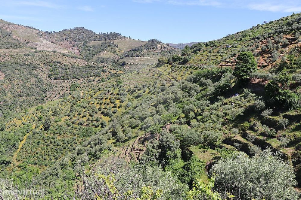 Terreno  para venda