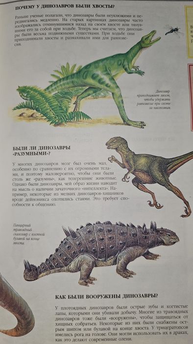 Енциклопедія 1001 питання та відповідь