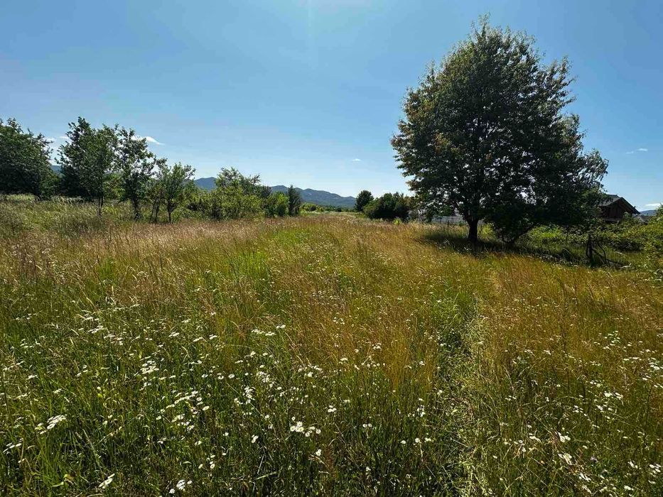 Продається земельна ділянка в смт. Буштино