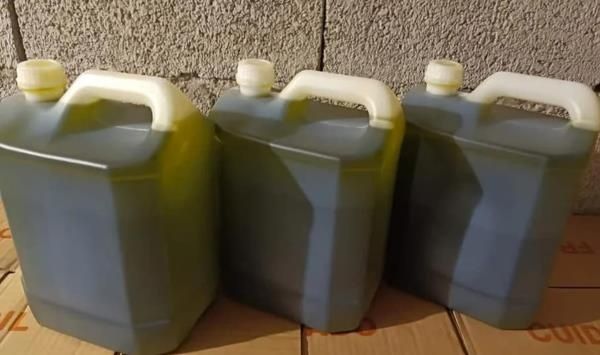 Garrafões de azeite 5L