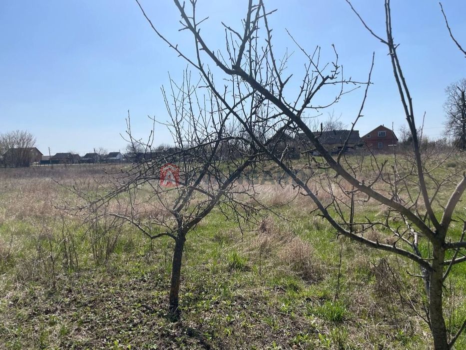 Продам земельну ділянку
