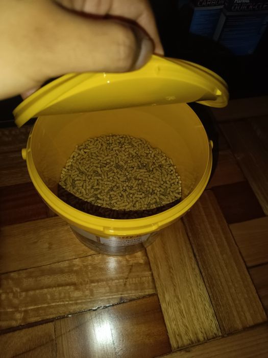 Tartarugueira + Móvel + Filtro Externo + Comida