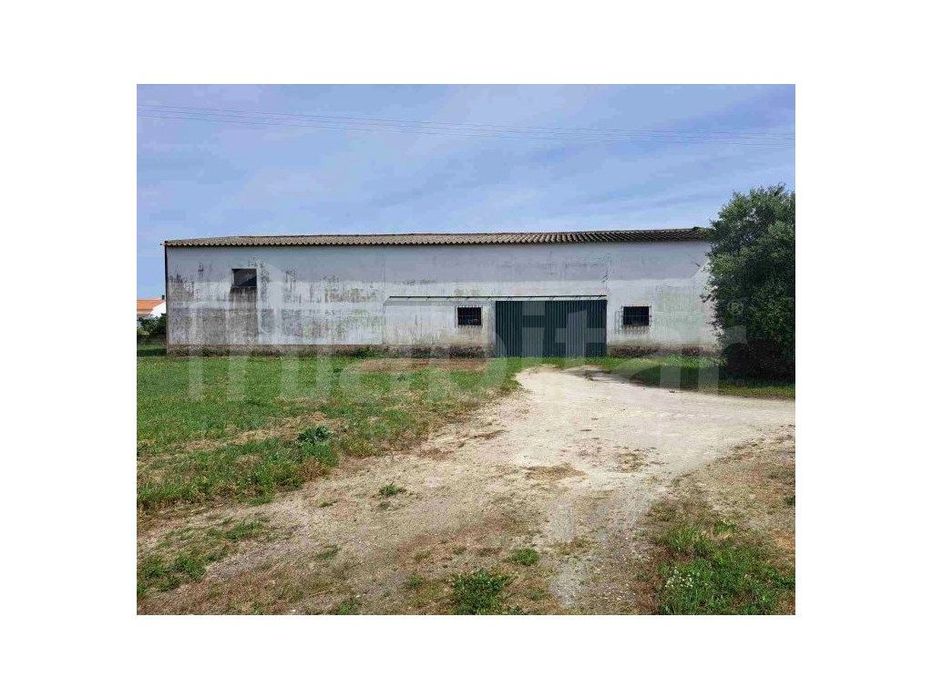 Armazém 278 m² + Adega com Terreno Urbano de 4.516 m² - Benavente