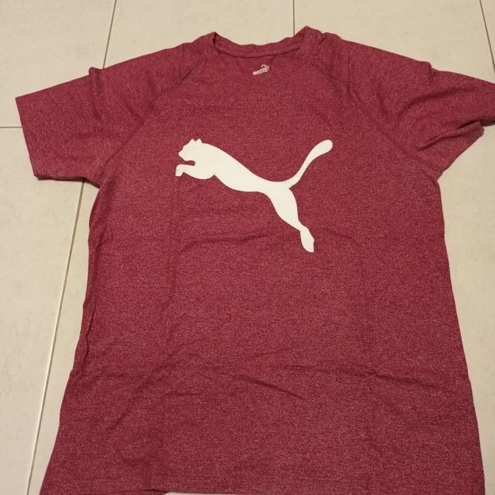 Pólos menino 14 anos