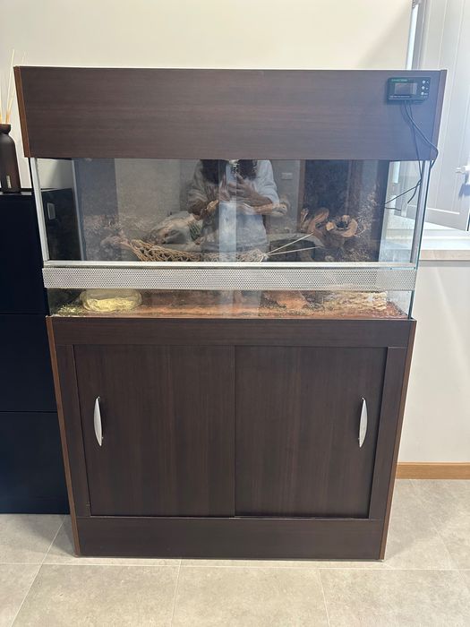 Terrário com móvel para réptil