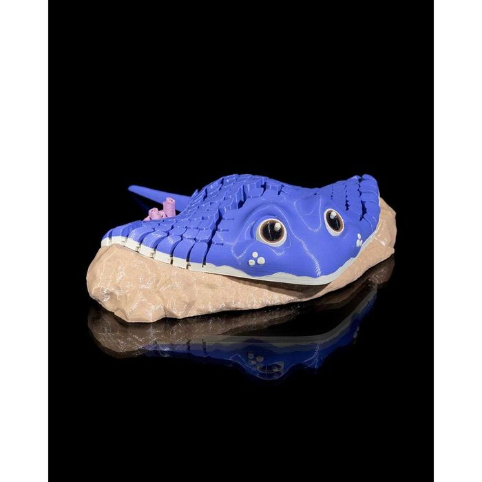 Ray the Manta Ray3D