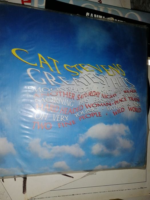 Discos Vinil LP impecáveis 
20 duplos álbuns LP e 9 LP
Ver fotos.