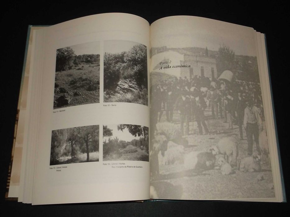 Martins (Isilda Maria Renda);Loulé no Século XX-Monarquia