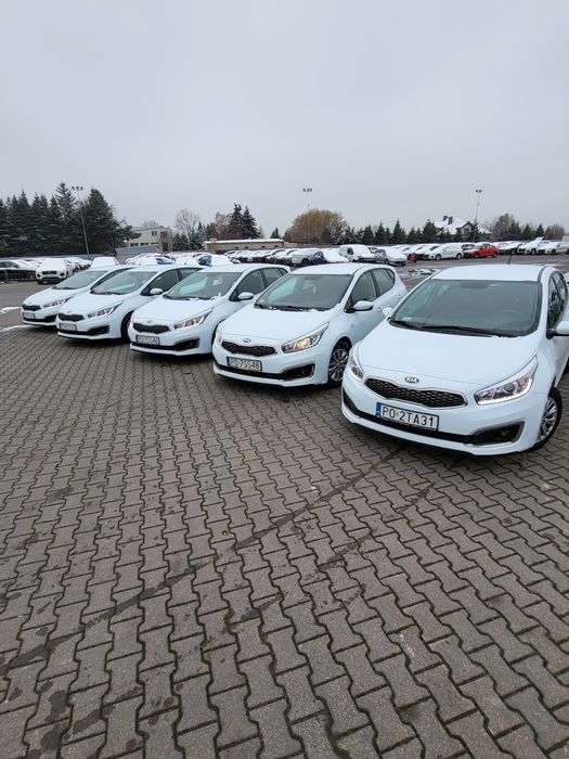 Wynajem samochodów osobowych i busów, atrakcyjne ceny