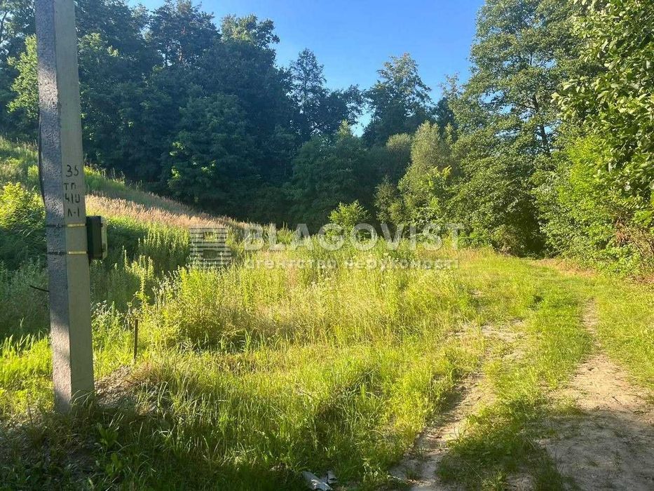 Земельна ділянка  5 соток с. Пряжів біля Житомира