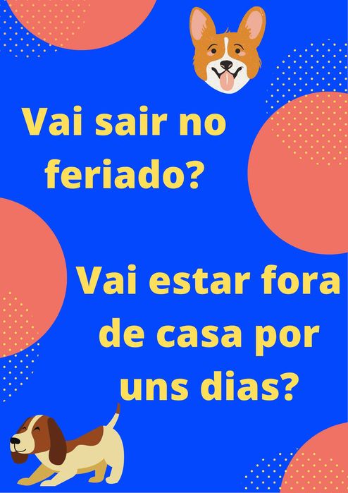 explicações / babysitting / petsitting