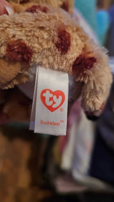 Редкая Ty beanie boos глазастик рысь BUCKWHEAT 15 см 2016 год
